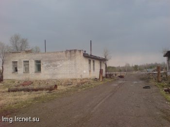 DSC01784